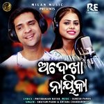 Adekha Nayika