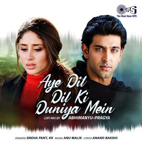Aye Dil Dil Ki Duniya Mein (Lofi Mix)
