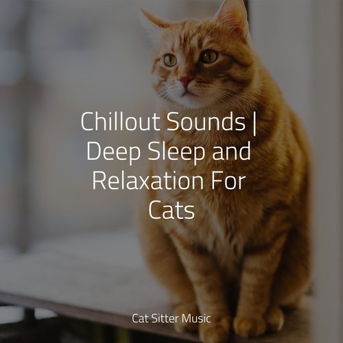 Chillout Sounds | Deep Sleep and Relaxation For Cats