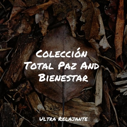 Colección Total Paz And Bienestar_poster_image