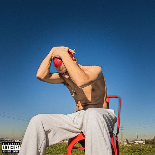 Roberto cover art