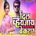 Dil Vhaijay Bekarar