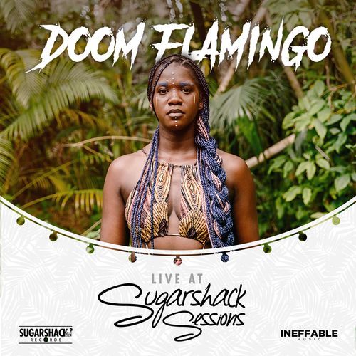 Doom Flamingo (Live at Sugarshack Sessions)_poster_image