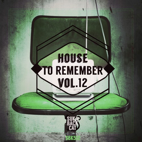 House to Remember, Vol. 12