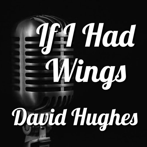 If I Had Wings David Hughes