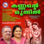 Parvanam artwork