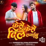 Kese Kese Dil Lagaibu