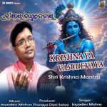 Krishnaya Vasudevaya