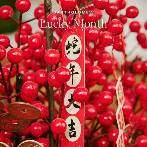 Lucky Month (Radio edit)