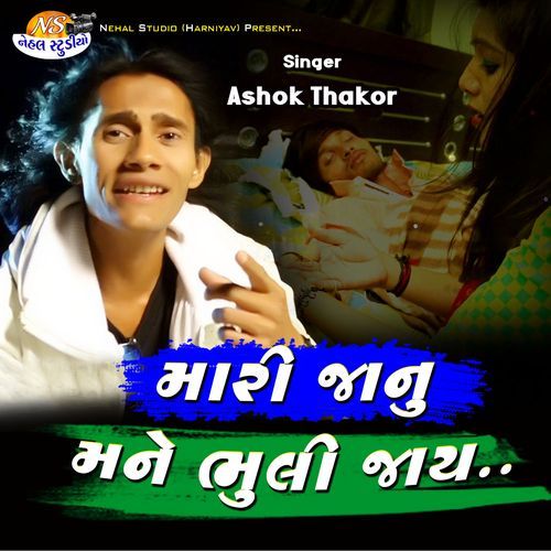 Mari Janu Mane Bhuli Jay