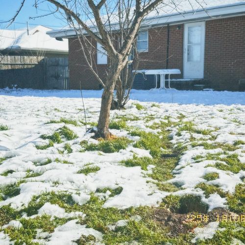 Melodies of the Heart