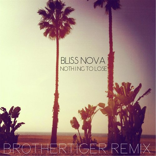 Nothing to Lose (Brothertiger Remix) [feat. Brothertiger]