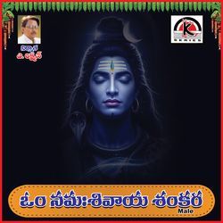 Om Namah Shivaya Shankara
