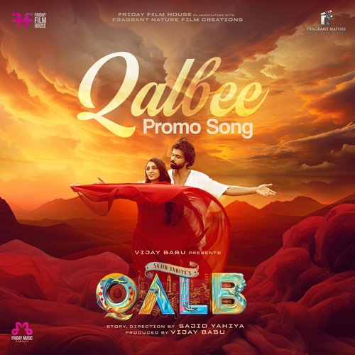 Qalbee (From "Qalb") (Promo Song)