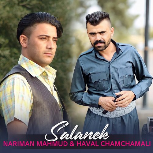 10 Dll cover art