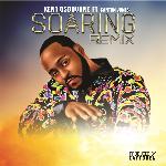 Soaring (Remix)