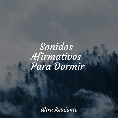 Sonidos Afirmativos Para Dormir_poster_image