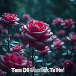 Tera Dil Dhadak Ta Hai