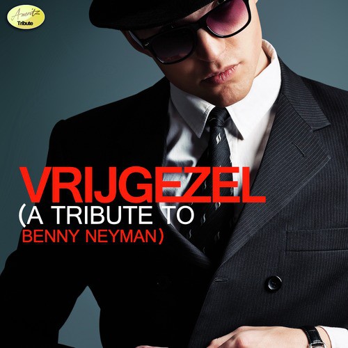 Vrijgezel (A Tribute to Benny Neyman) cover art