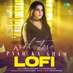 Woh Tere Pyar Ka Gham - Lofi