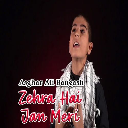 Zehra Hai Jan Meri_poster_image