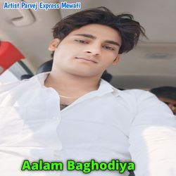 Aalam Baghodiya-PF9dWSx,aGE