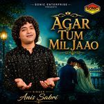 Agar Tum Mil Jaao