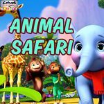 Animal Safari