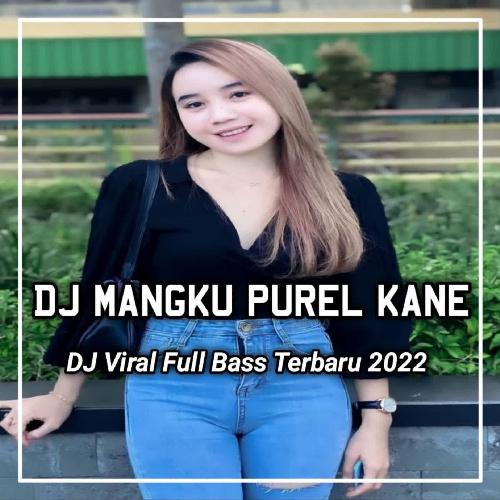 DJ Siji Loro Telu Mangku Purel Neng Karaokean - Mangku Purel_poster_image