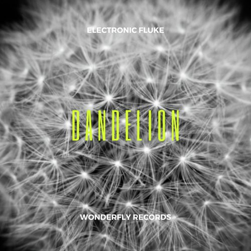 Dandelion_poster_image