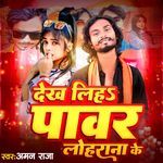 Dekh Liha Power Loharana Ke