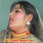 Dil Todna Mana Hai