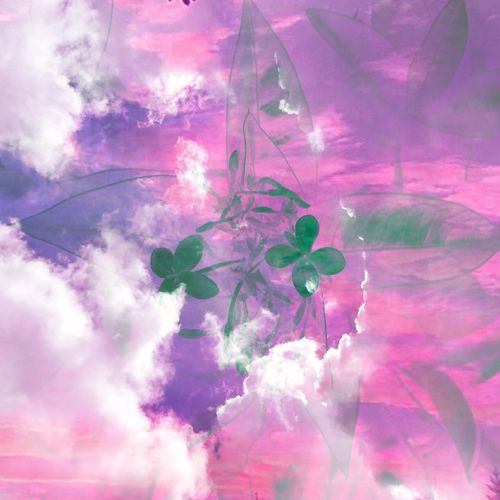 lightheaded hearttt (feat. grza3) (demo)