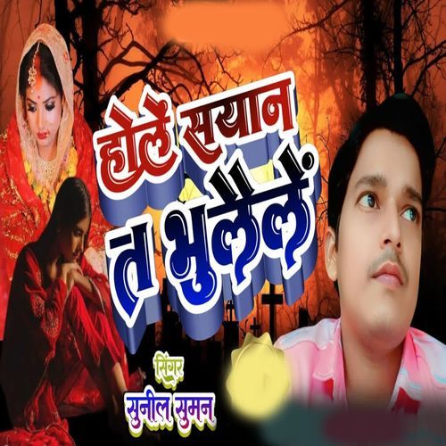 Hole Sayan Ta Bhulaele