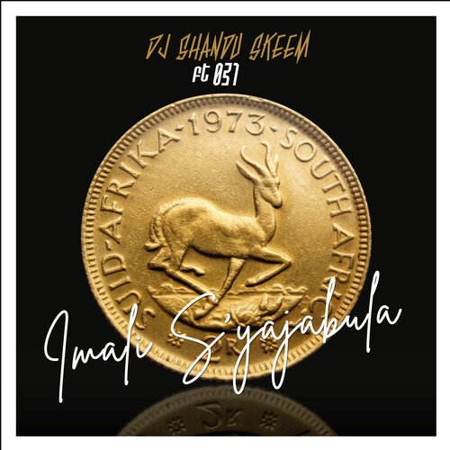 Imali S'yajabula cover art