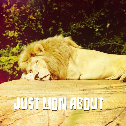 Just Lion About