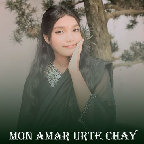 Mon Amar Urte Chay