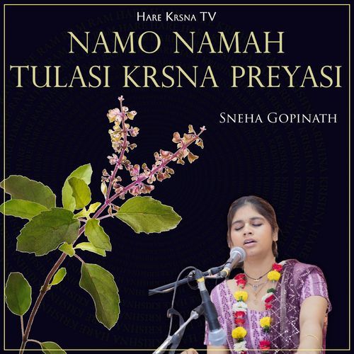 Namo Namah Tulasi Krsna Preyasi