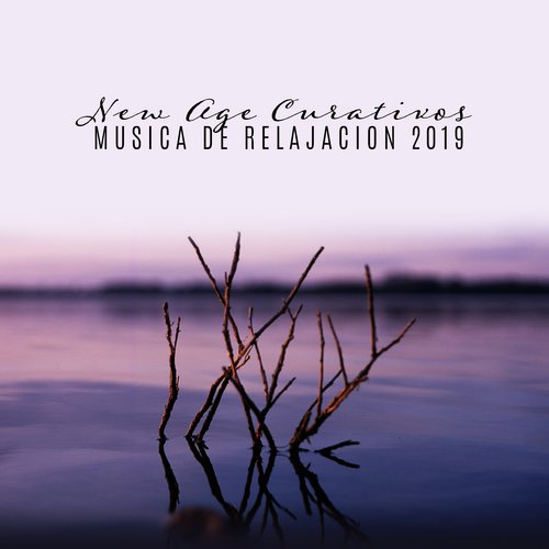 Musica de Relajacion cover art
