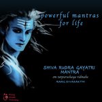 Powerful Mantras for Life - Shiva Rudra Gayatri Mantra