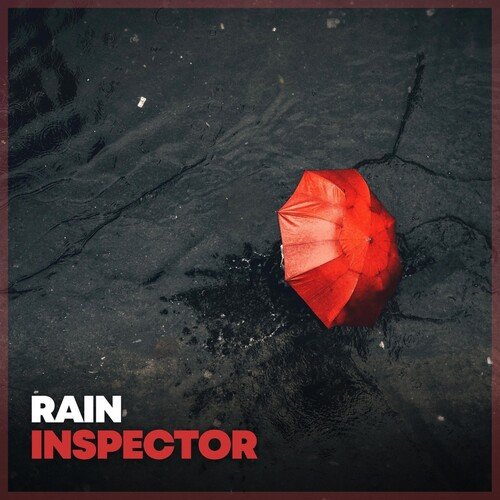 Xenodochial Rain