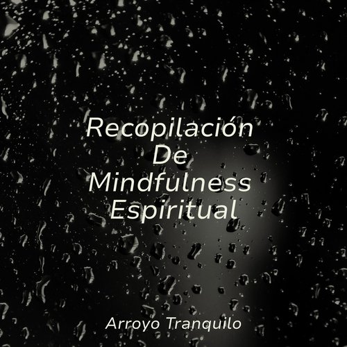 Recopilación De Mindfulness Espiritual