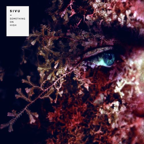 Rumination cover art