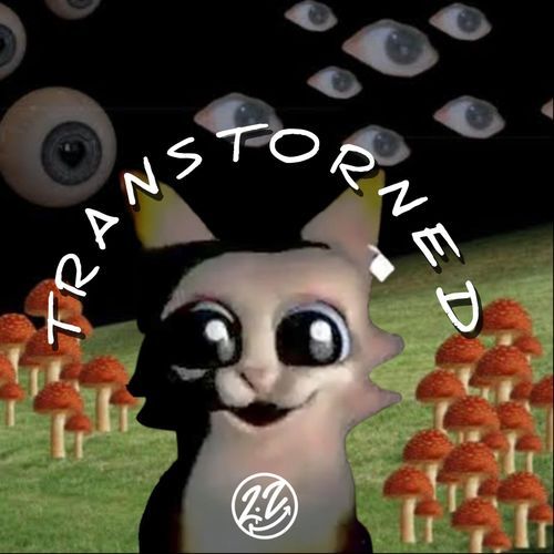 T-003-SŪĮČXD3