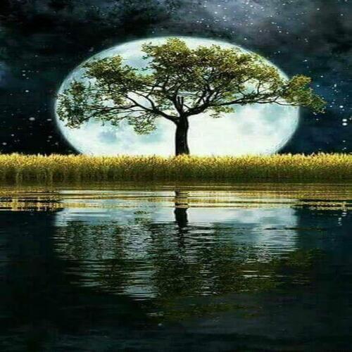 VALUE HAPPINESS WORLDWIDE 2