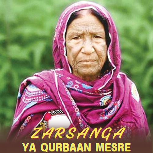 Ya Qurbaan Mesre_poster_image