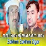 Zakhmi Zakhmi Zigar