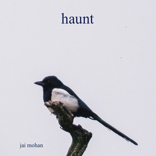 haunt