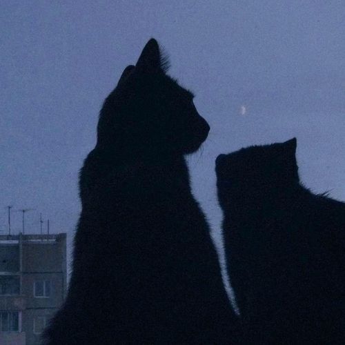 i wait where you left me