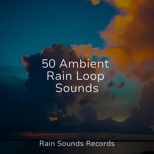 50 Ambient Rain Loop Sounds